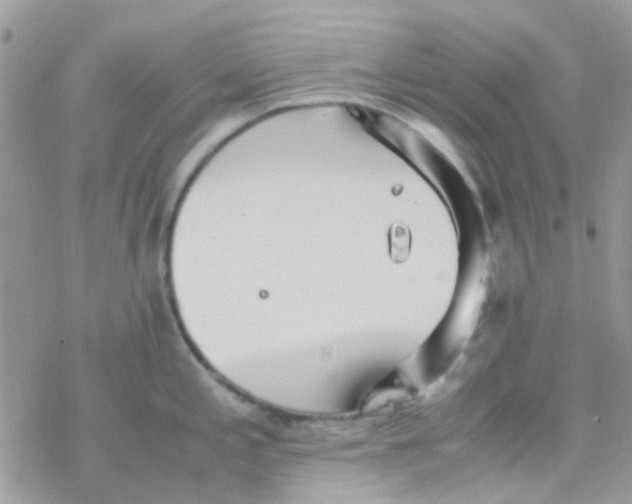 X0000077361197200611171915