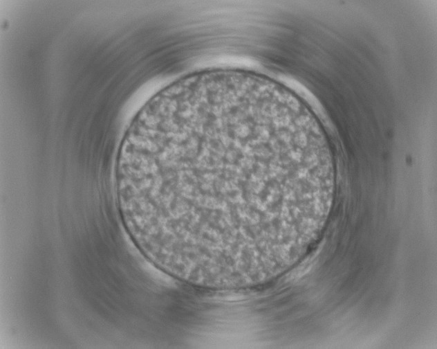 X0000077361199200611171915