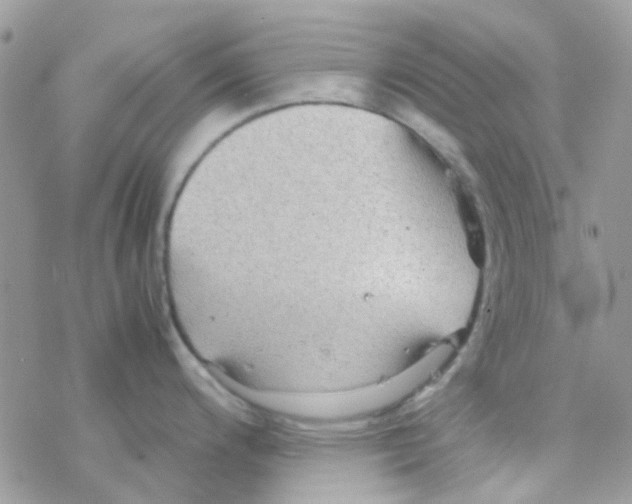 X0000077361200200611171915