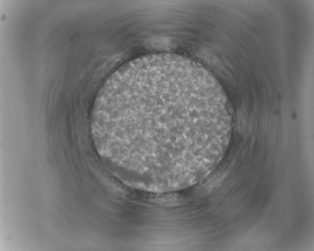 X0000077361201200611171914