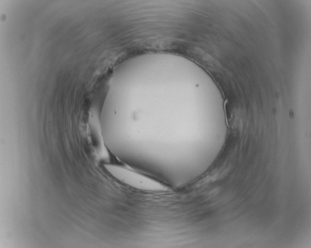 X0000077361202200611171914