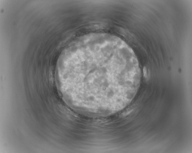 X0000077361203200611171914