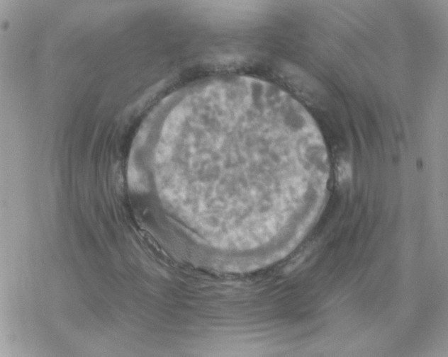 X0000077361204200611171914