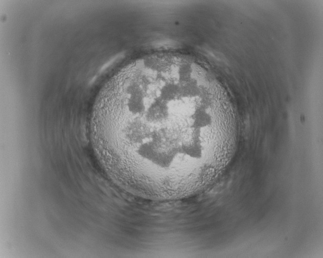 X0000077361205200611171914