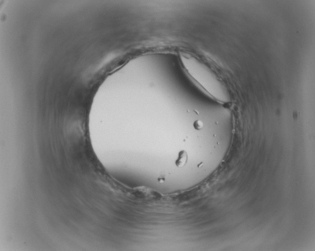 X0000077361206200611171914