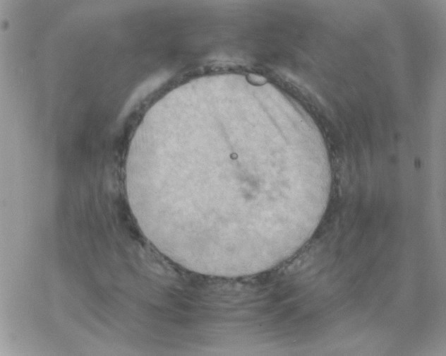 X0000077361207200611171915