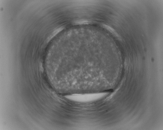 X0000077361209200611171915