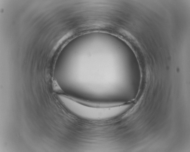 X0000077361210200611171915