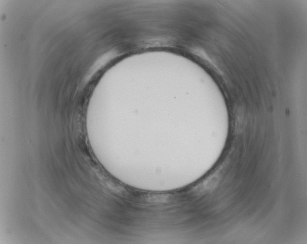 X0000077361211200611171915