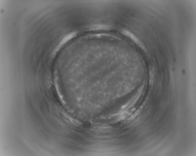 X0000077361213200611171915