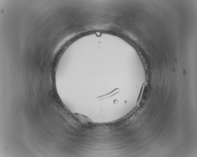 X0000077361214200611171915