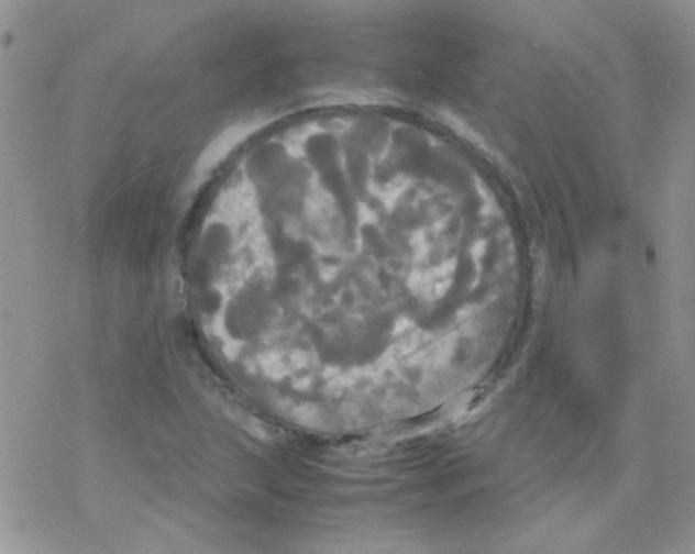 X0000077361215200611171915