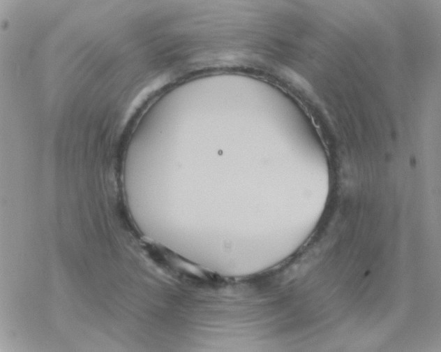 X0000077361218200611171915