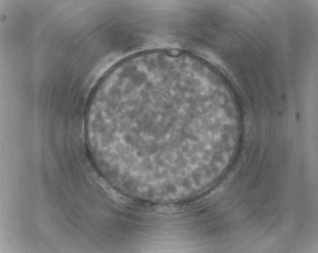 X0000077361220200611171915