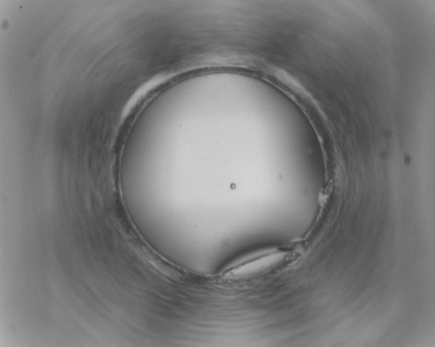 X0000077361222200611171915