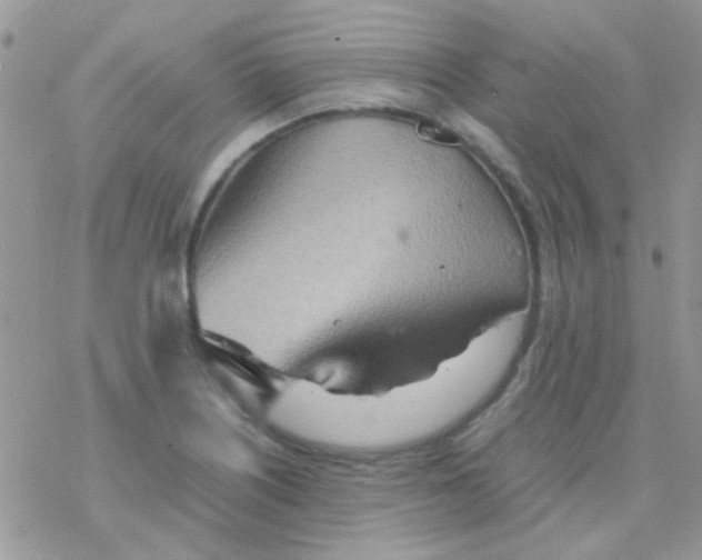 X0000077361226200611171915