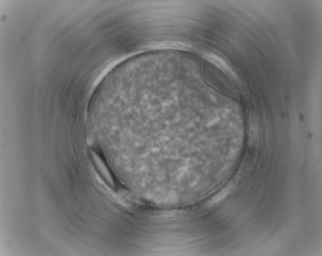 X0000077361228200611171915