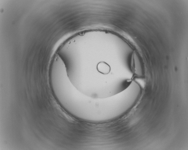 X0000077361230200611171915