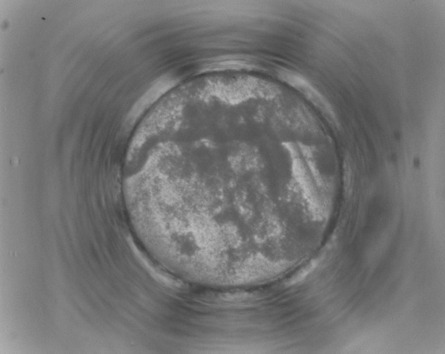 X0000077361233200611171915