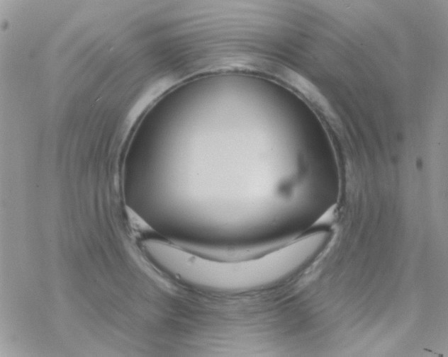 X0000077361234200611171915