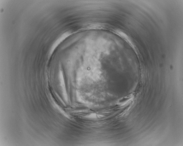 X0000077361235200611171915