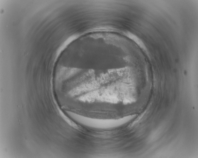 X0000077361237200611171915