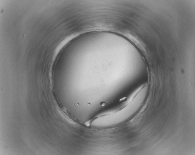 X0000077361238200611171915