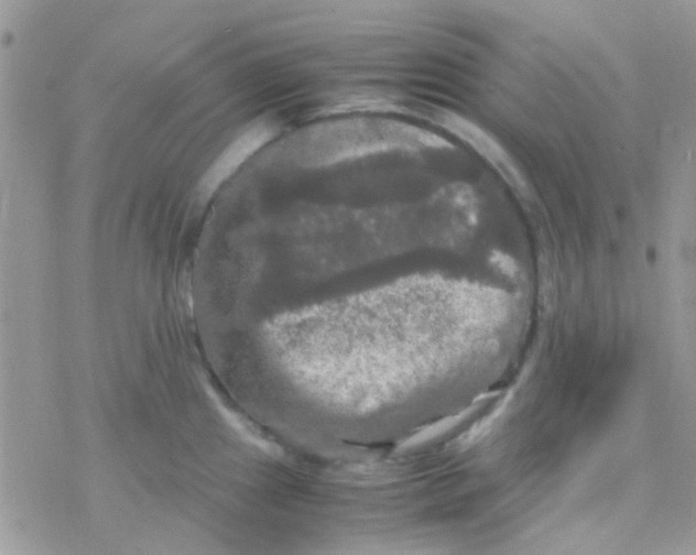 X0000077361241200611171915