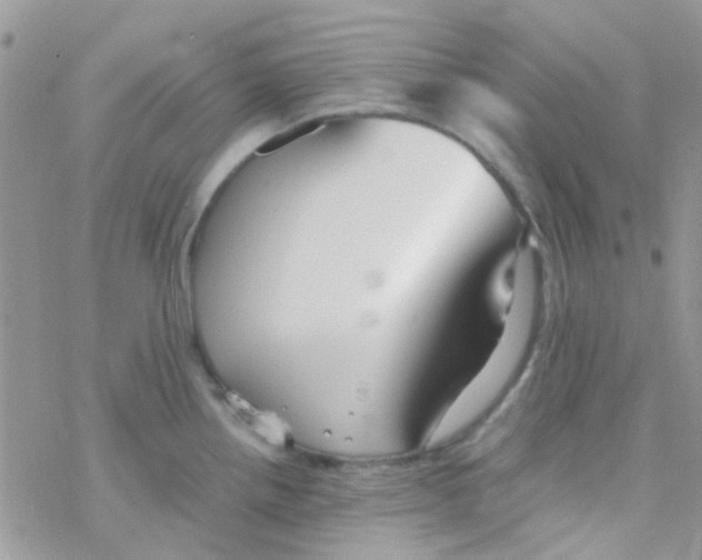 X0000077361242200611171915