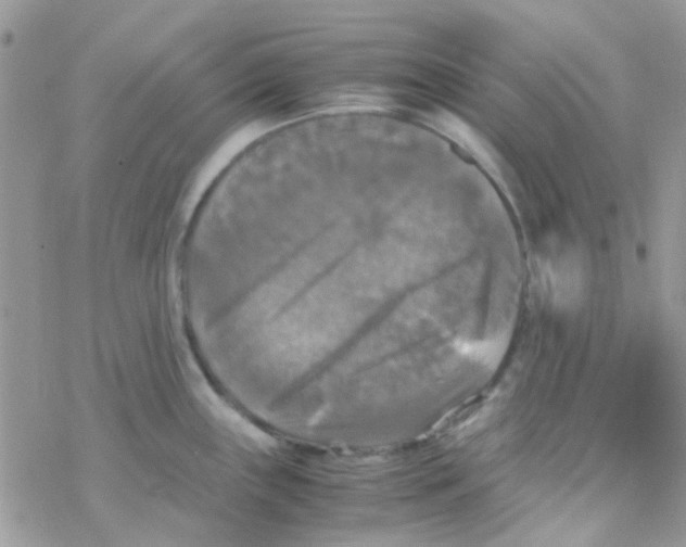 X0000077361243200611171915