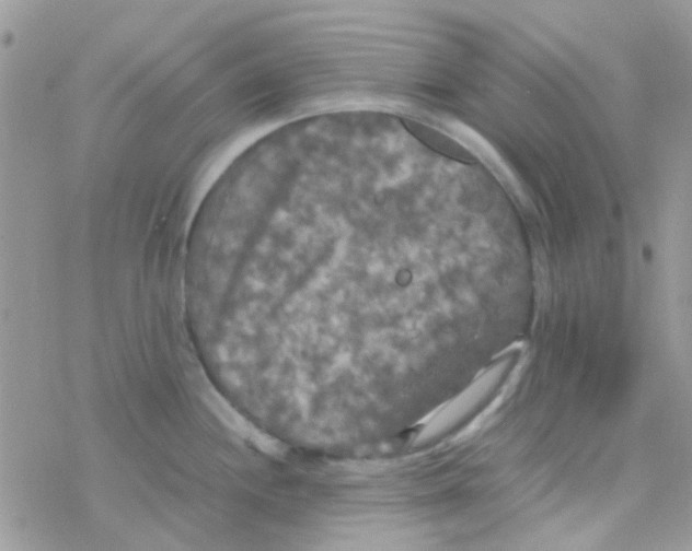 X0000077361244200611171915