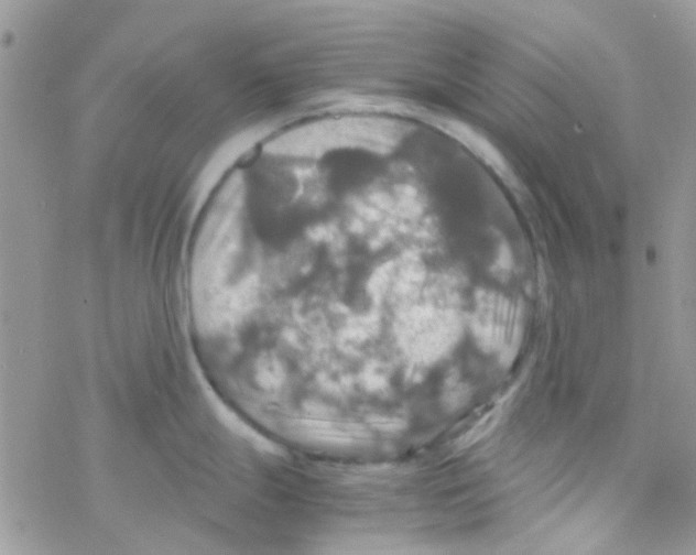 X0000077361247200611171915