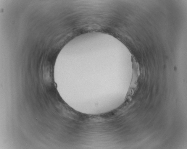 X0000077361250200611171914