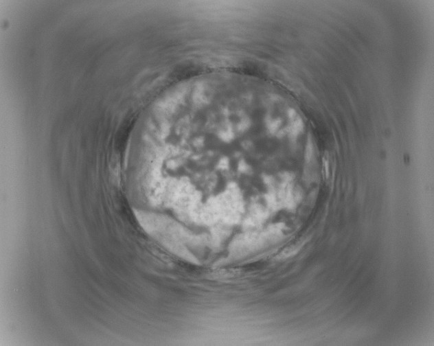 X0000077361251200611171914