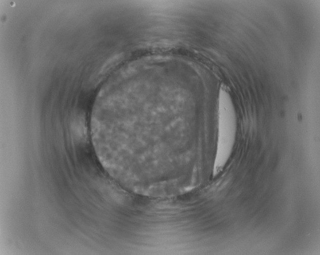 X0000077361252200611171914