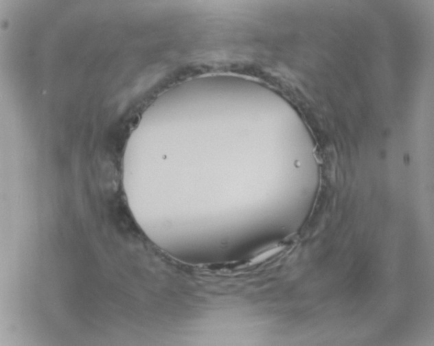 X0000077361253200611171914