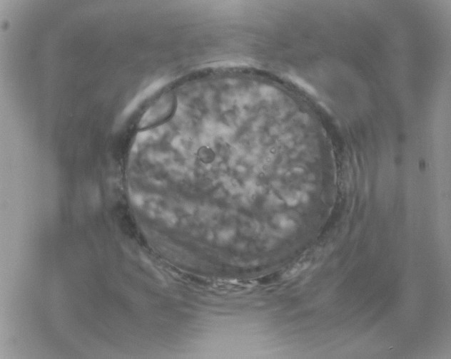 X0000077361255200611171914