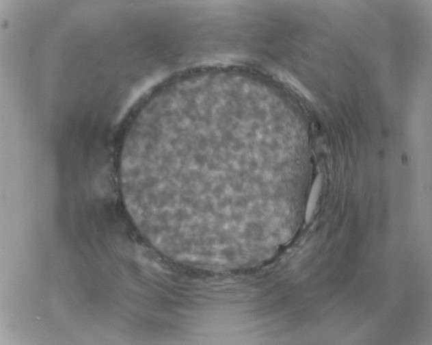 X0000077361256200611171914