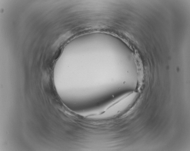 X0000077361257200611171914