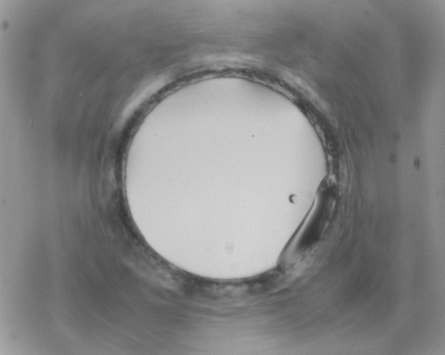 X0000077361261200611171914