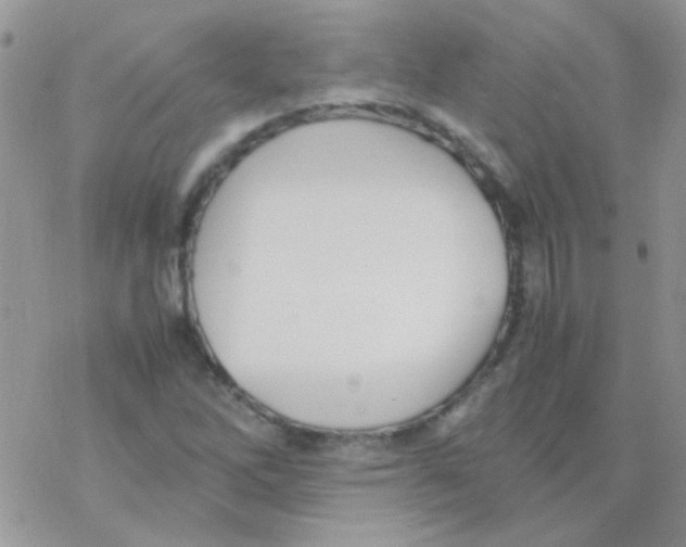 X0000077361262200611171914