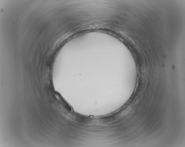 X0000077361265200611171914