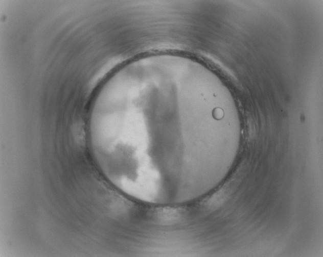 X0000077361266200611171914