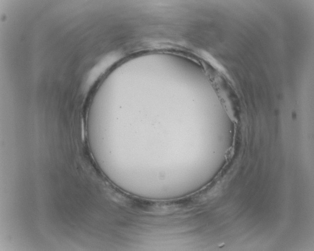 X0000077361269200611171914