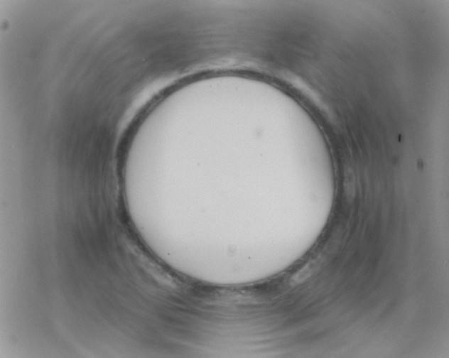 X0000077361270200611171914