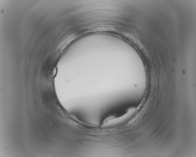 X0000077361273200611171914