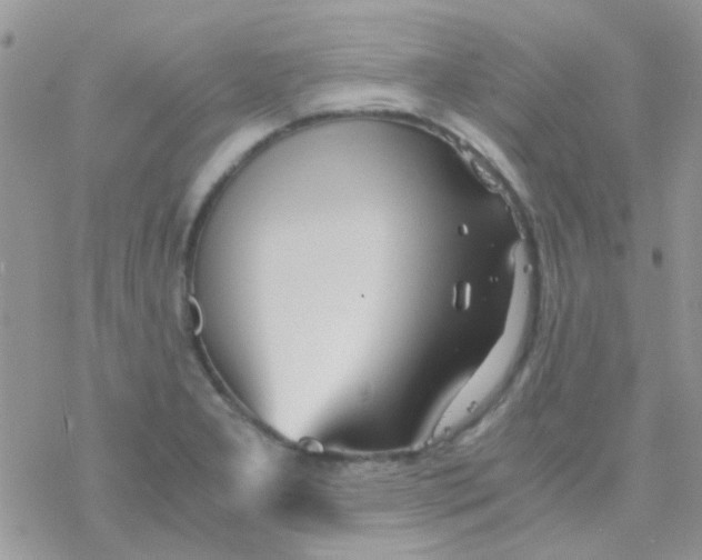 X0000077361277200611171914