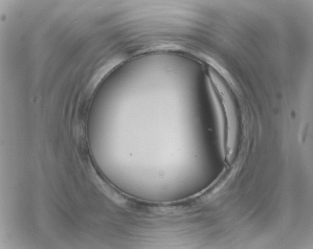 X0000077361281200611171914