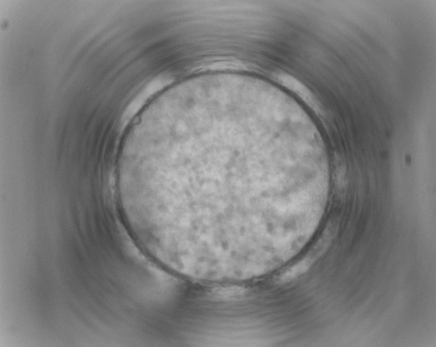 X0000077361282200611171914