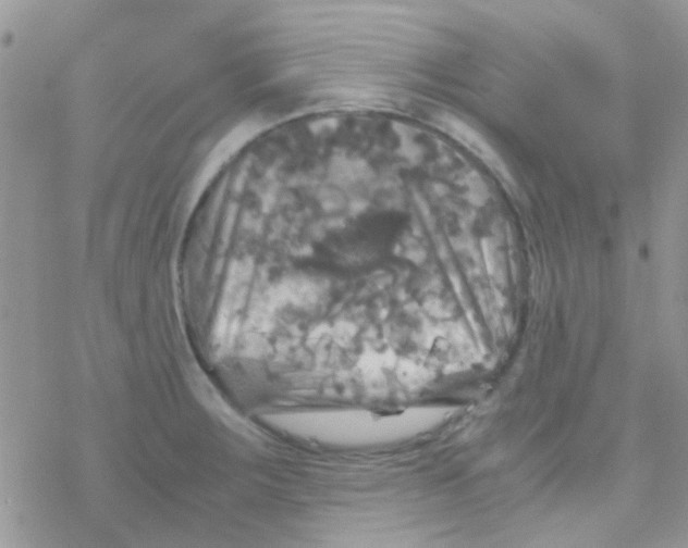 X0000077361283200611171914